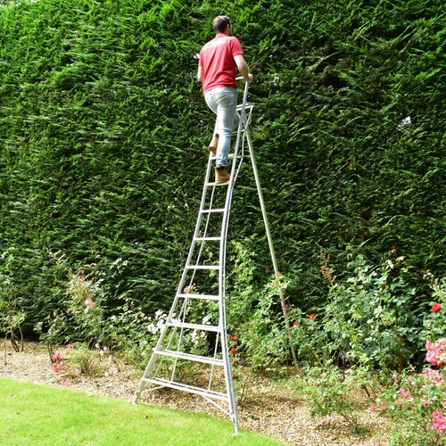 Garden ladder tripod - ladder, 3