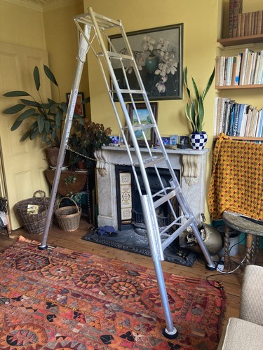 Niwaki tripod ladder - ladder, 7'