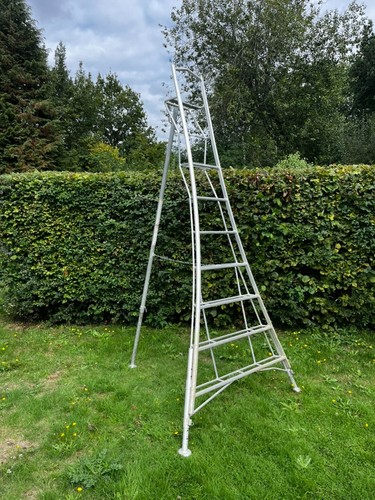 Henchman 10ft 3m - /,