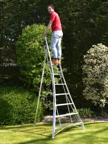 Tripod ladder 3 - ladder,