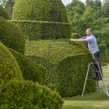 Hendon Standard Tripod Ladder